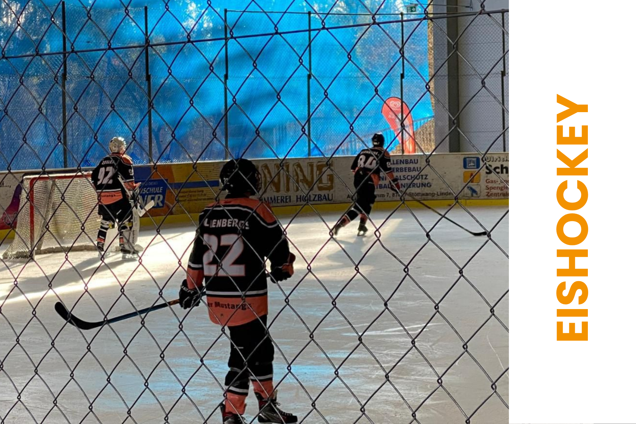 Abteilung Eishockey